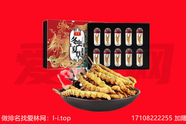西双版纳景洪市回收虫草.jpg